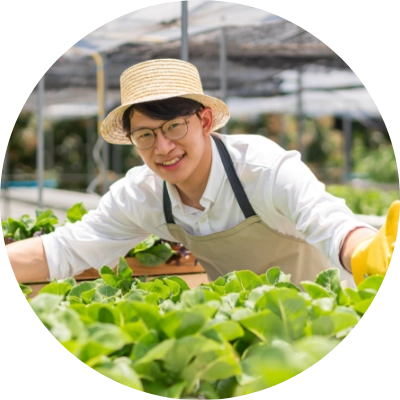 自然の恵み農園の畑