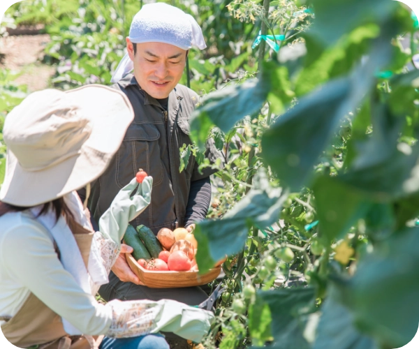 自然の恵み農園での収穫の様子